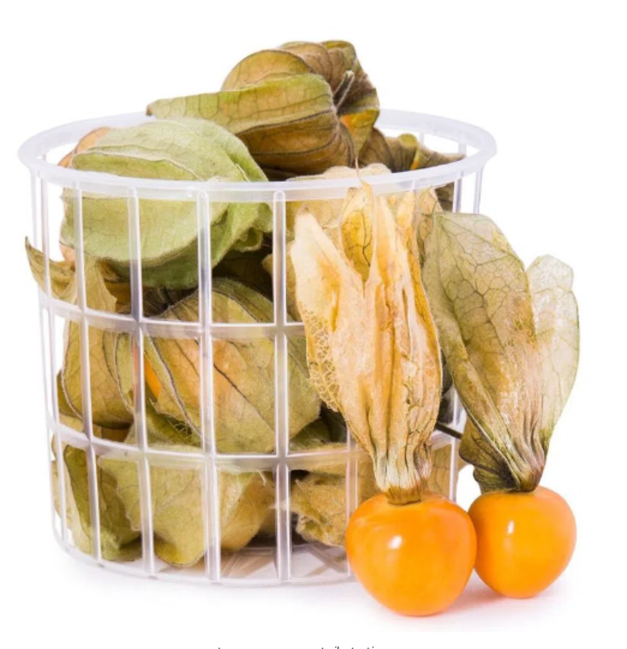 Physalis 100g