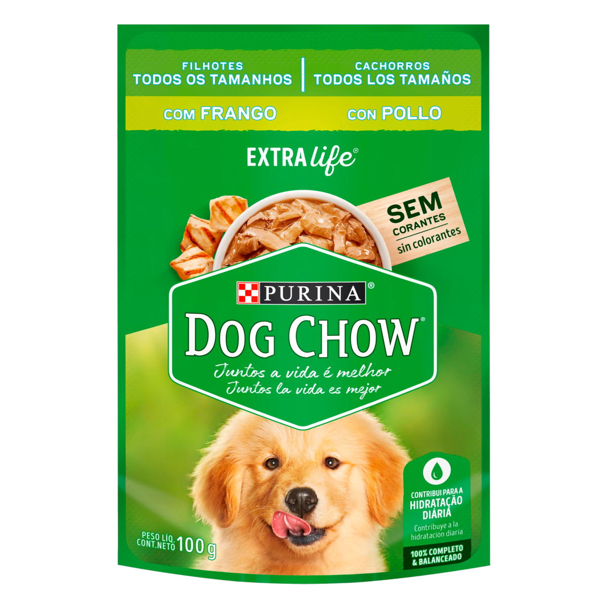 Racao Dog Chow 100g