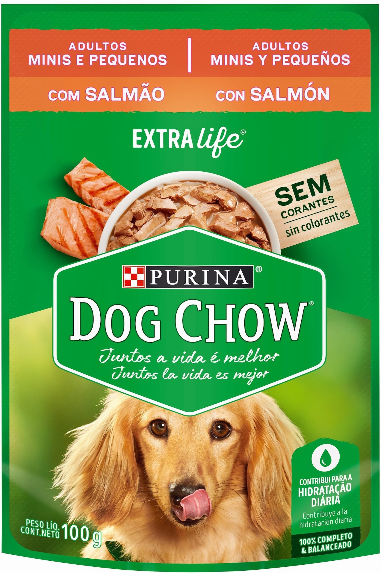 Racao Dog Chow 100g