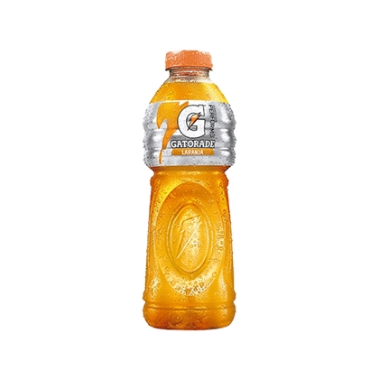 Gatorade Pet 500ml