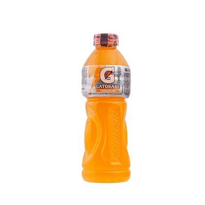 Gatorade Pet 500ml