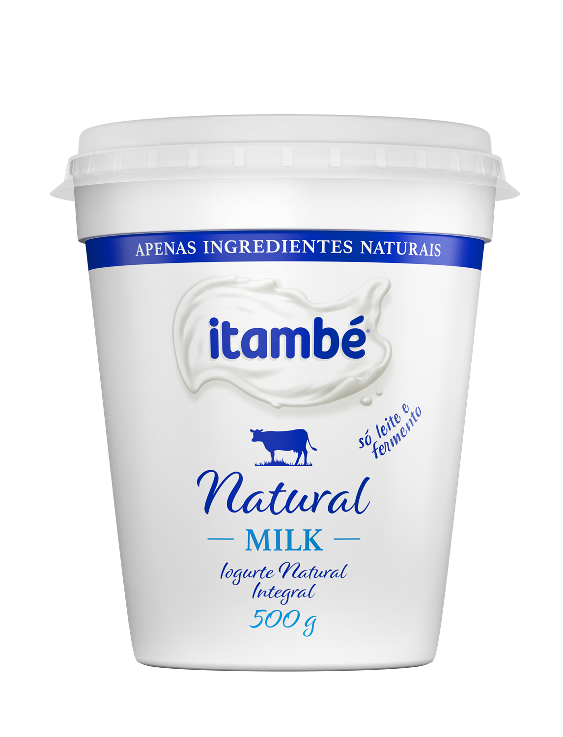 Iogurte Itambe Pt 450g