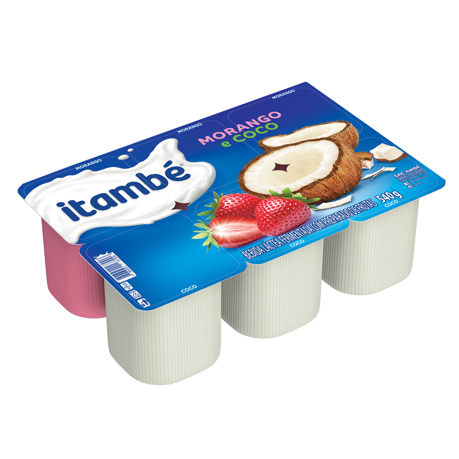 Polpa Itambe Bdj 540g