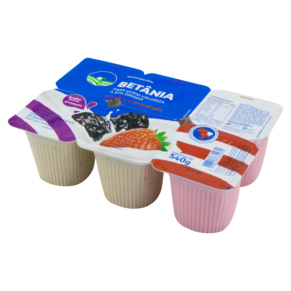 Polpa Betania Bdj 540g