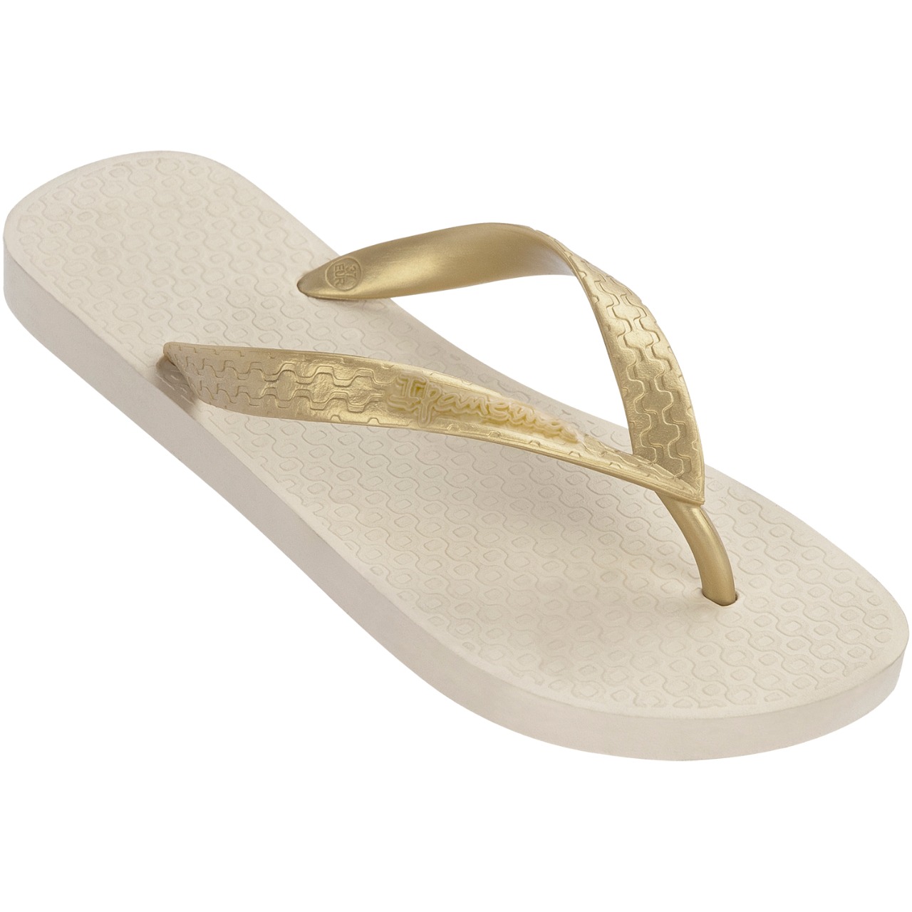 Sandalia Ipanema Classica Fem 33/34 a 39/40