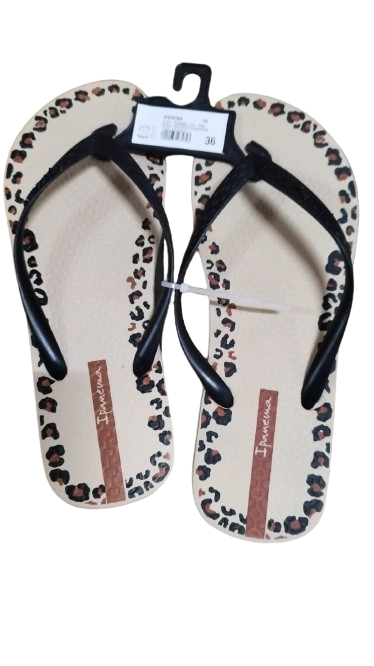 Sandalia Ipanema Day Fem 33 a 39/40