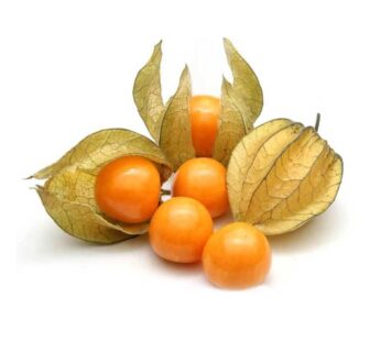 Physalis Un
