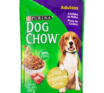 Racao Dog Chow 100g