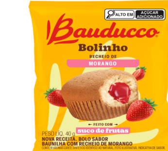 Bolinho Bauducco 40g