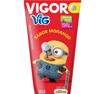 Bebida Mista Vigor Tp 200ml
