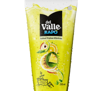 Bebida Mista Kapo Tp 200ml