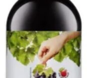 Suco Misto Panizzon 1,350l