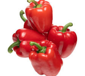 Pimentao Vermelho Rei 150g