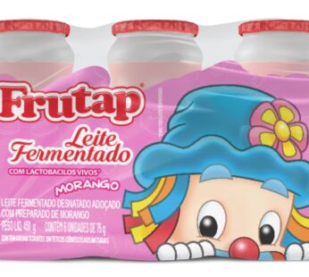 Leite Fermentado Frutap 450g